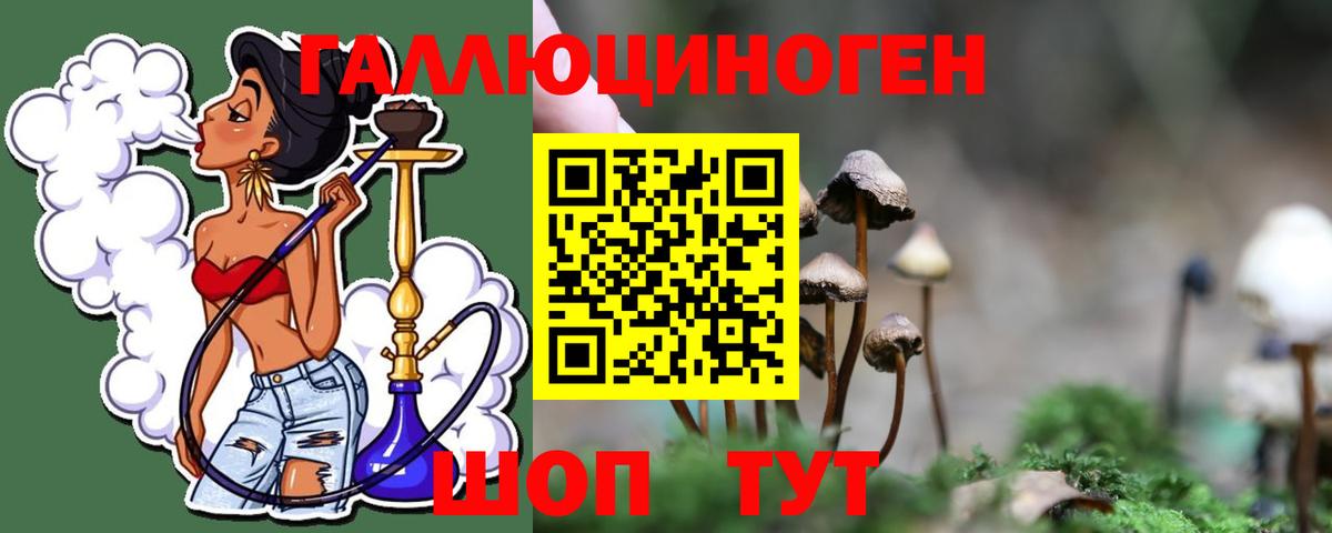 Люберцы  Псилоцибиновые грибы Psilocybe  Вход с VPN 